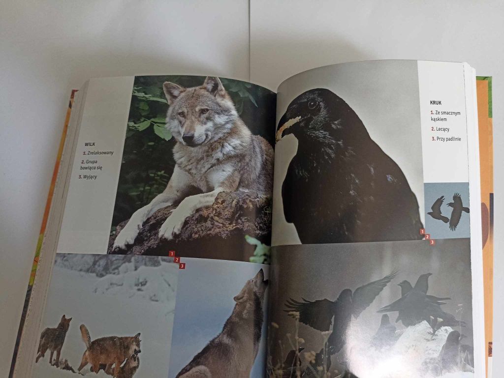,,Safari za progiem domu" Marzenna Nowakowska