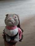 Coelho com roupa