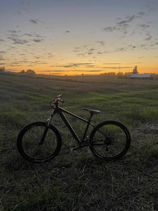 rower Freeride/dirt