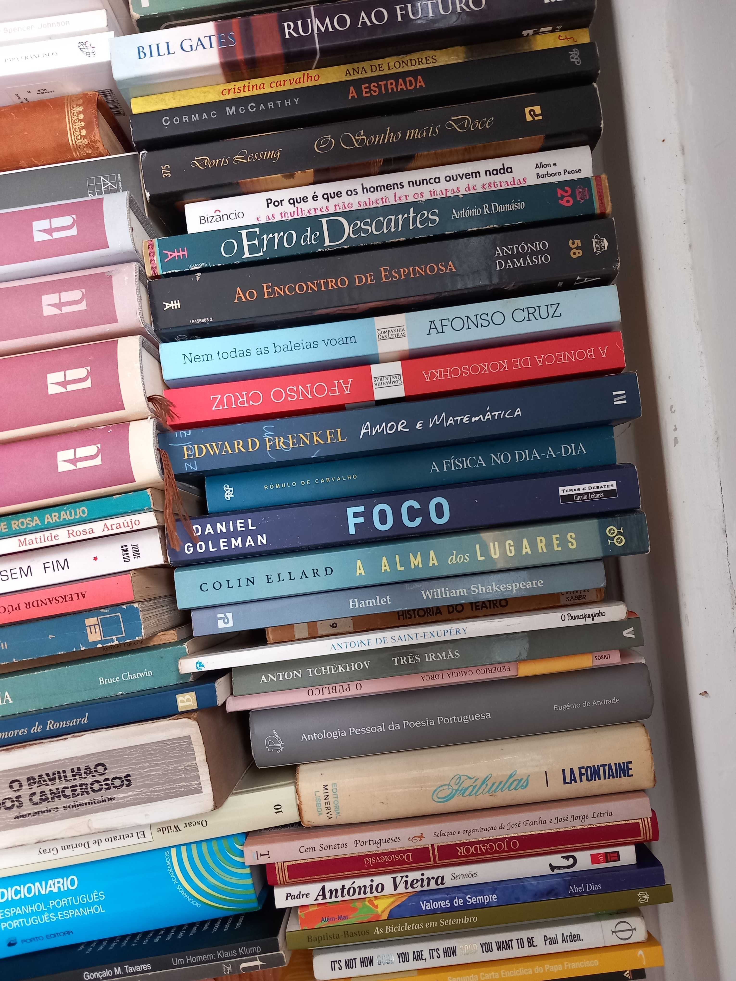 Lote de 74 Livros de qualidade