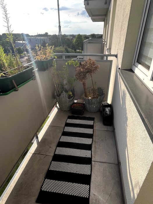 44m2 umeblowane gotowe do wprowadzenia - blok z windą!