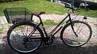 Rower miejski Alpina Bike Roxy Lady 6v 46cm 28''