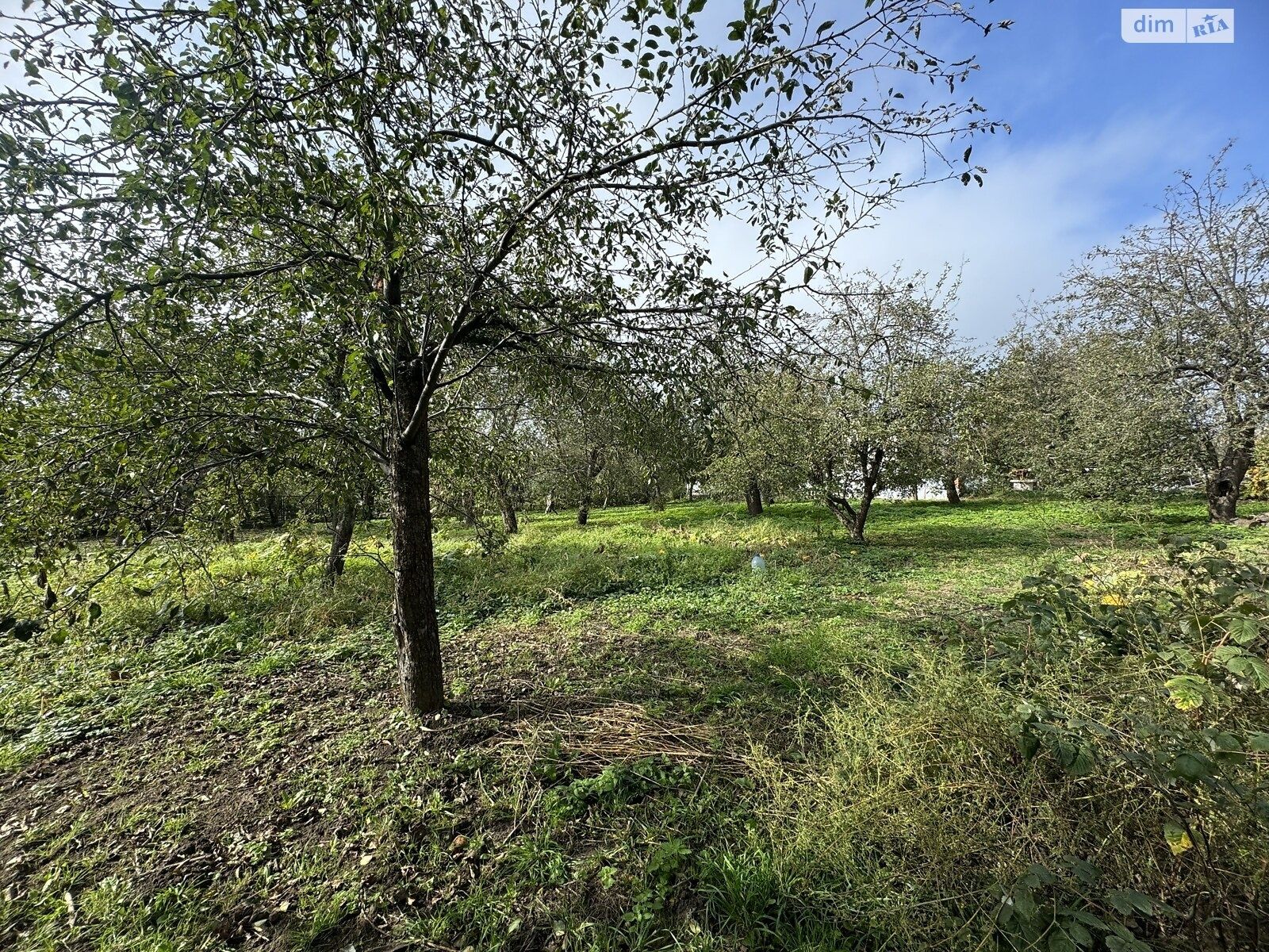 Продаж будинку в центрі с. Лука-Мелешківська