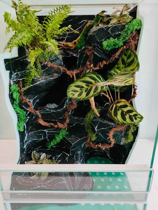 Terrarium z wbudowanym wodospadem  gekona orzęsionego AquaWaves TW68WB