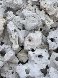 WAPIEŃ FILIPIŃSKI - Biały Wapień Kamień do Akwarium Malawi Tanganika