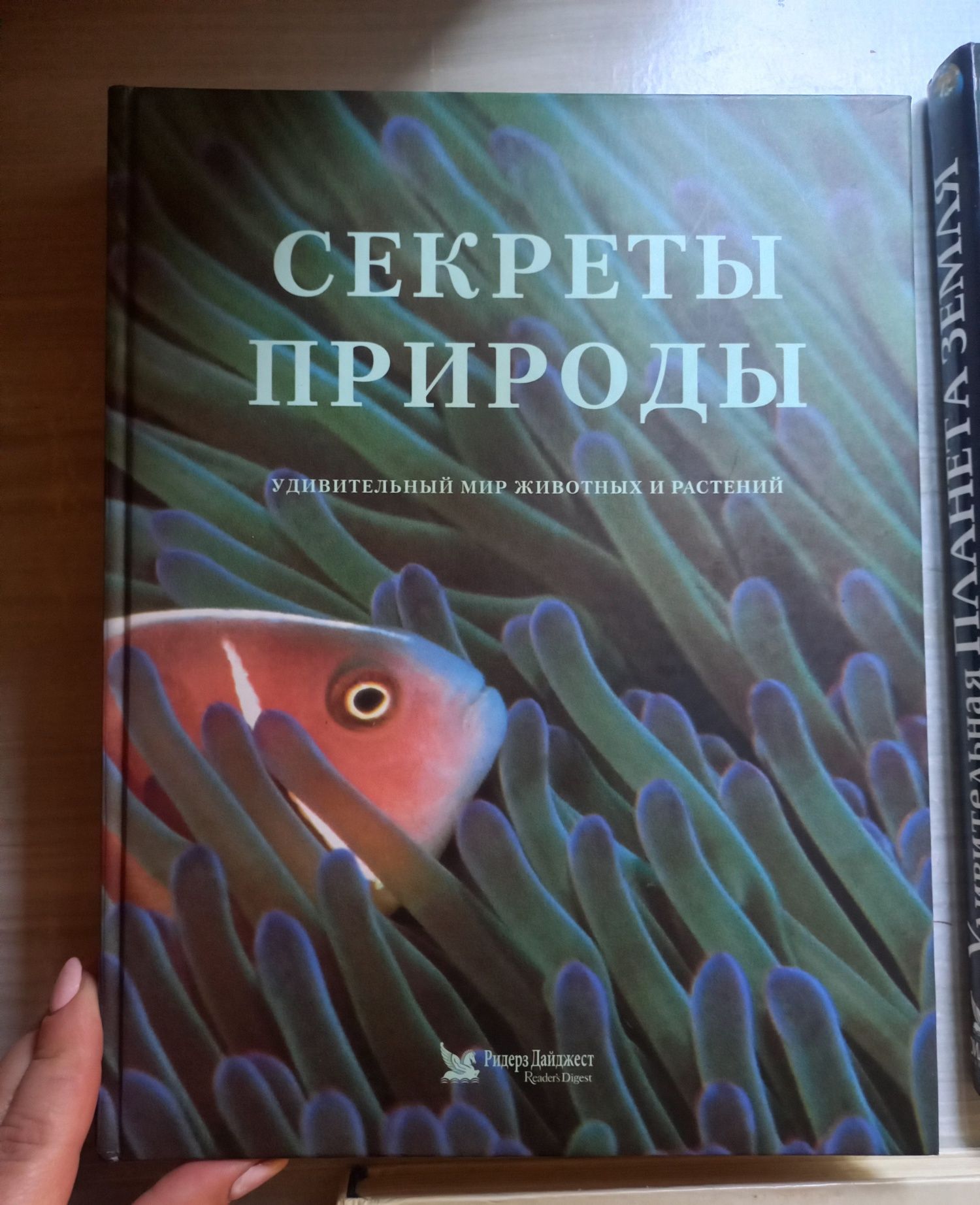 Енциклопедії. Книга все хочу знати