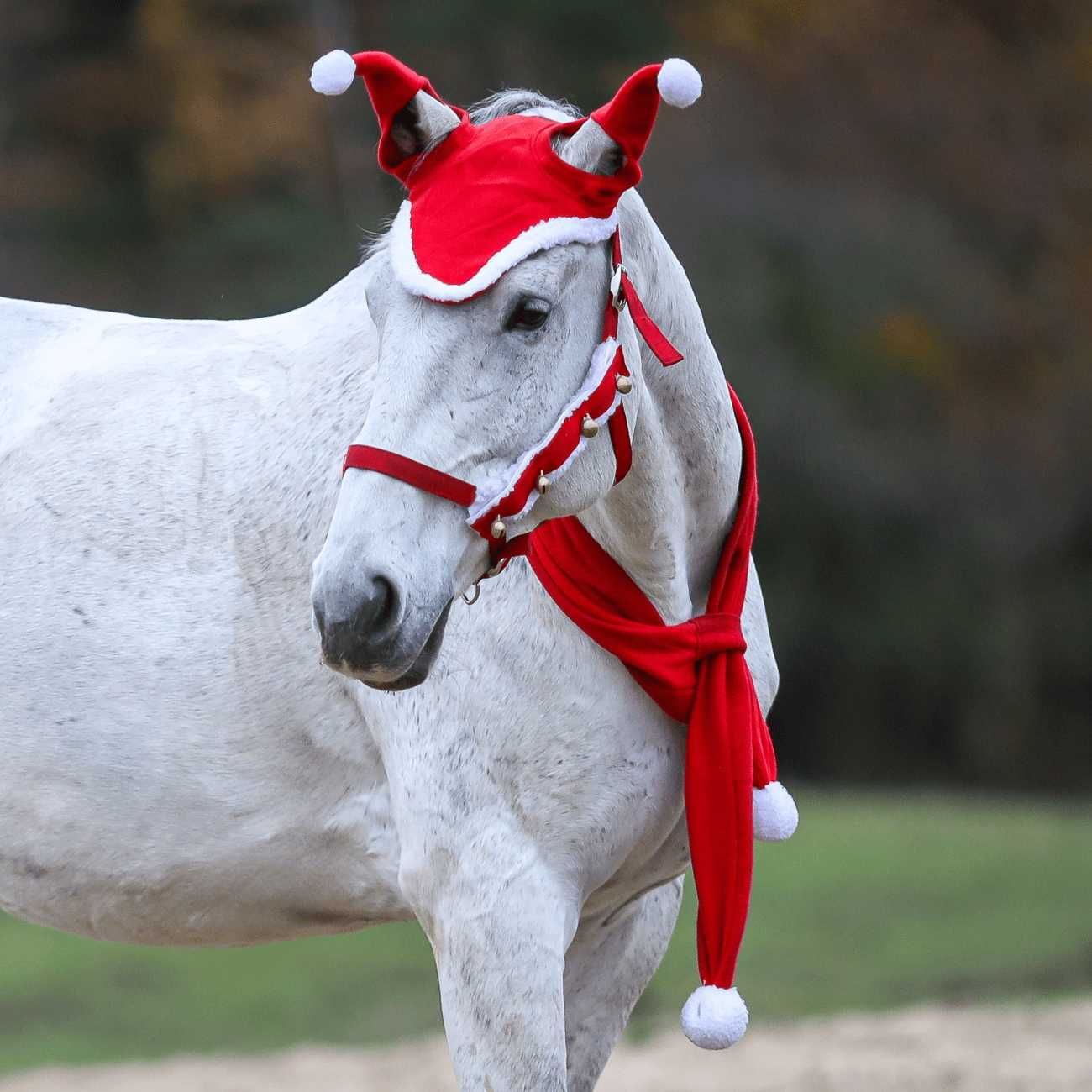 Nauszniki York świąteczne z pomponami Pony