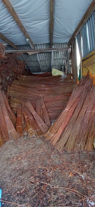 Wiklina sortowana sucha.