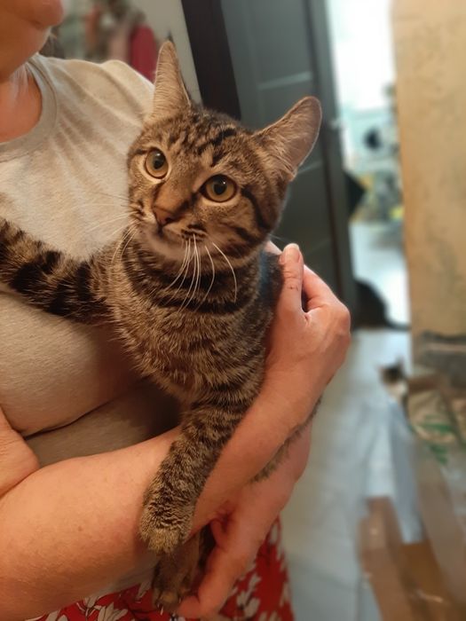 Хлопчик шукає родину!