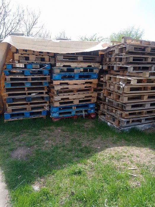 Продам піддони .