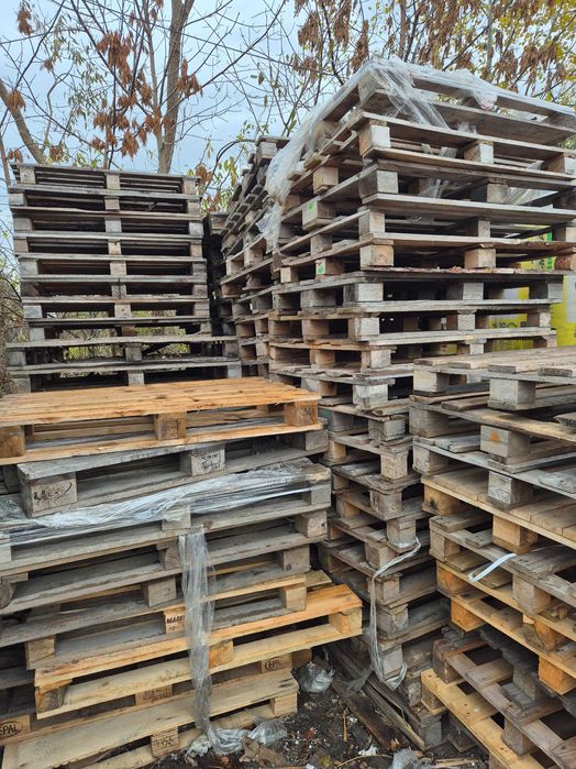 PALETA 80X120 Kielce