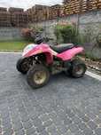 Polaris Phoenix 200  Dla majsterkowicza Okazja