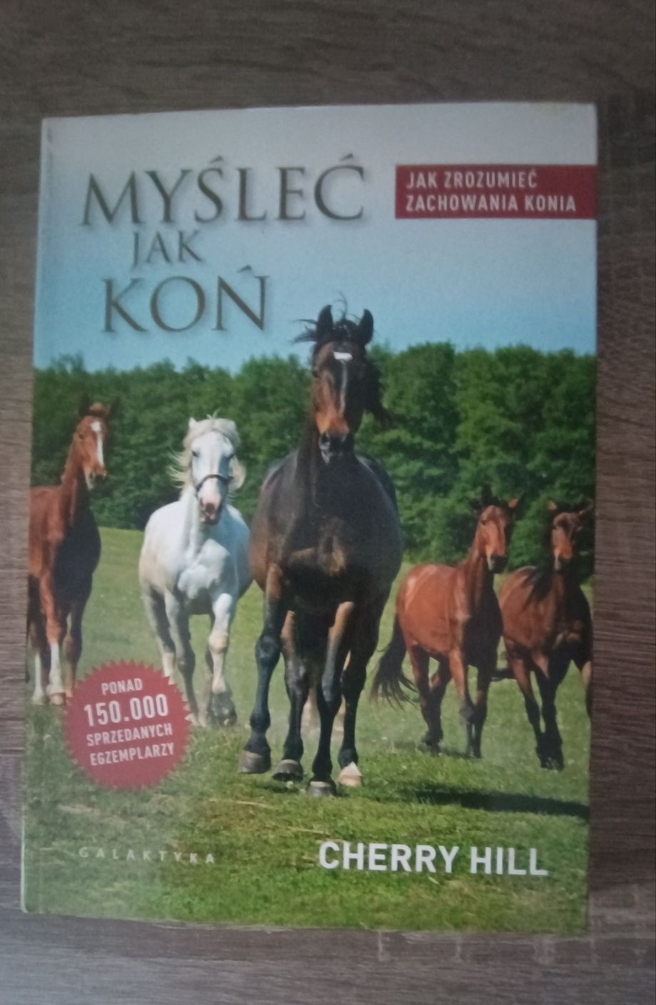 Myśleć jak koń Cherry Hill