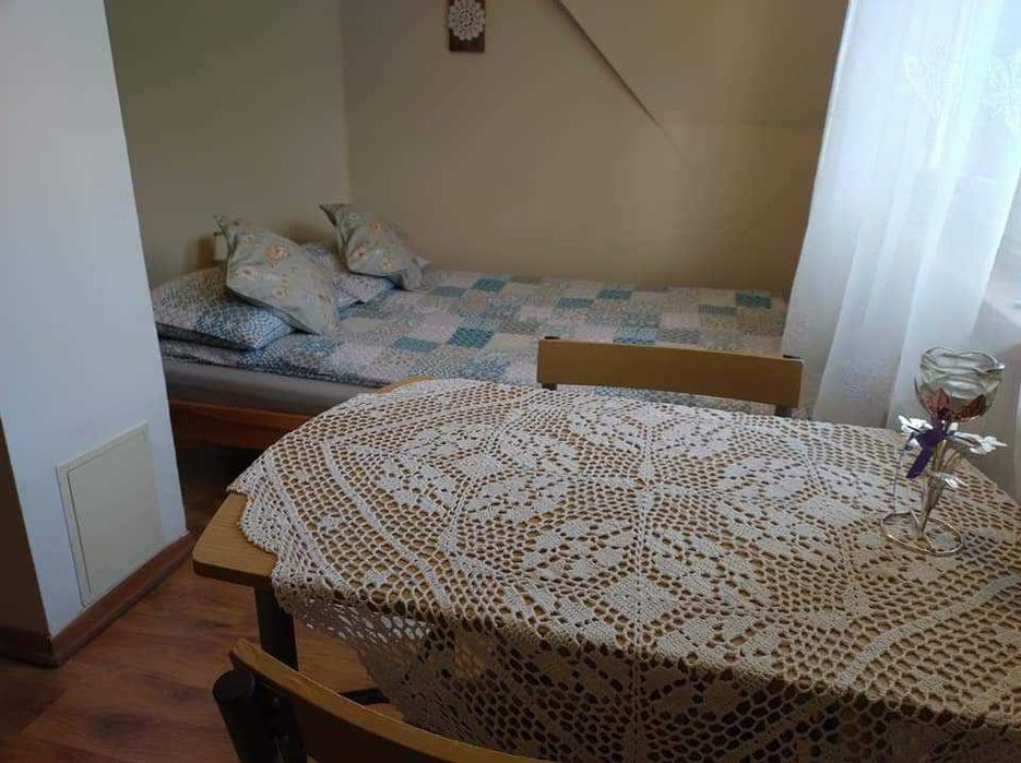Dom w centrum Białowieży/Warsztaty, sauna, rowery!