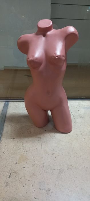 Manequim de pousar
