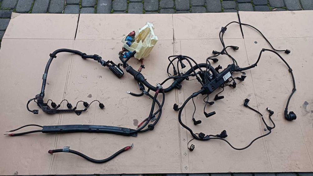 Kompletna Wiązka Silnika BMW E46 330d 3,0D M57 M57N 204 Konie SWAP