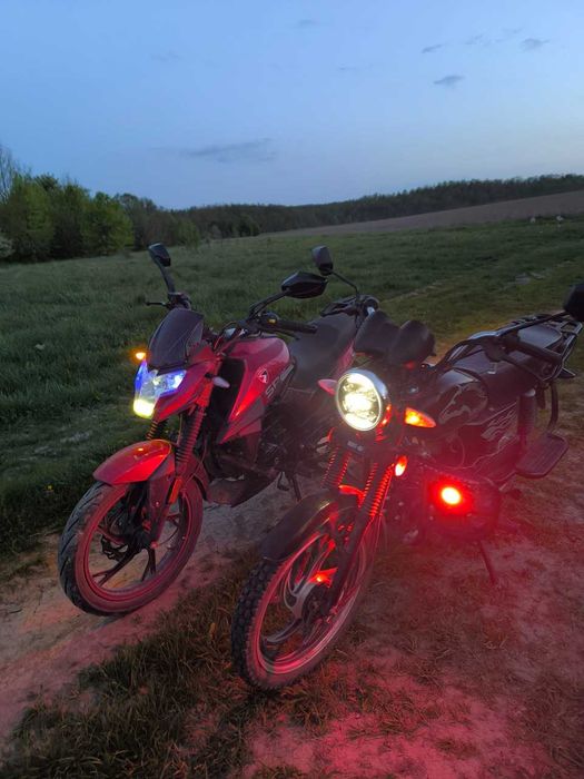 Мустанг мт 125- альфа