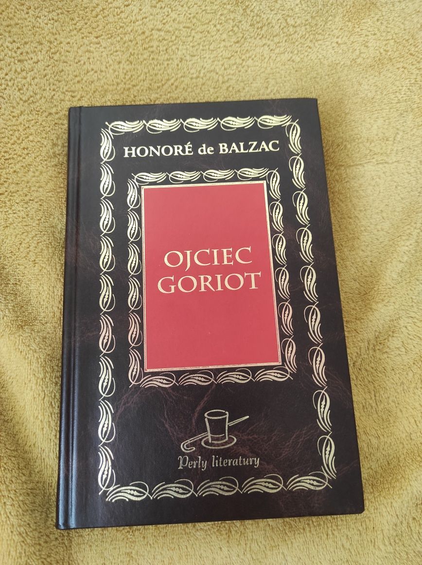 Książka Ojciec Goriot