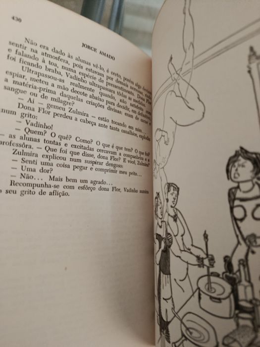 Portes grátis Livro de Jorge Amado "Dona Flor e seus dois maridos"