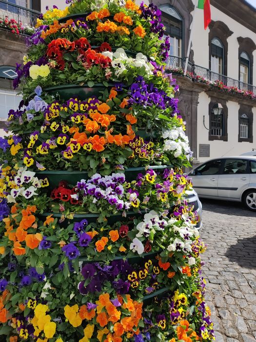 Duo Bébécar Ip Op Evolution Magic em óptimas condições