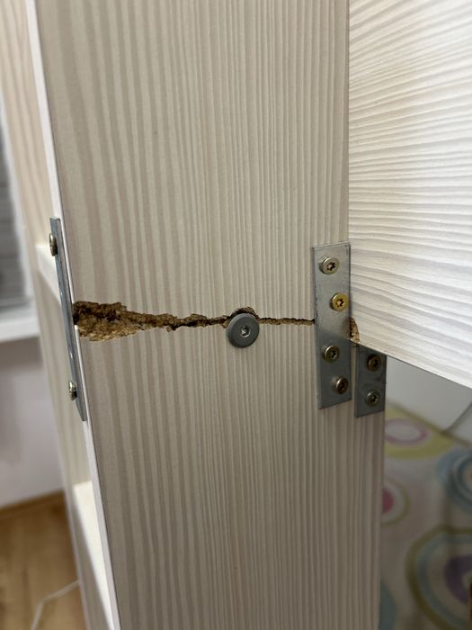 Łóżko piętrowe z szafa