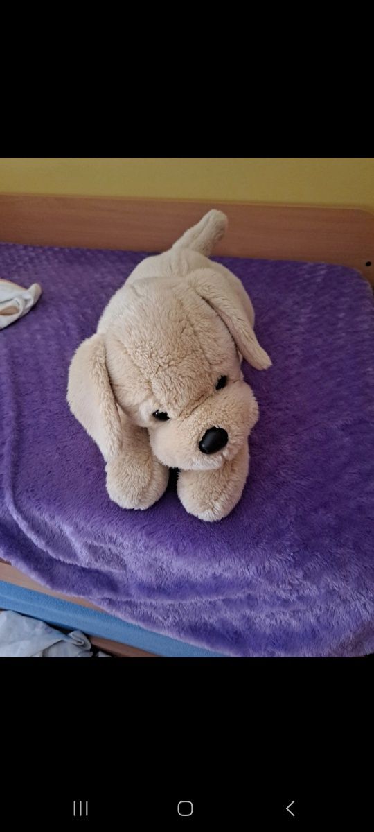 Cão de peluche 60cm
