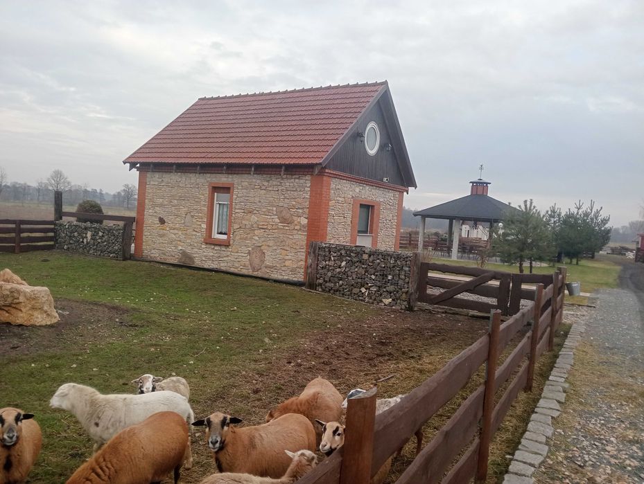 Nocleg pokoje gościnne kwatery agroturystyka spanie hotel apartamenty