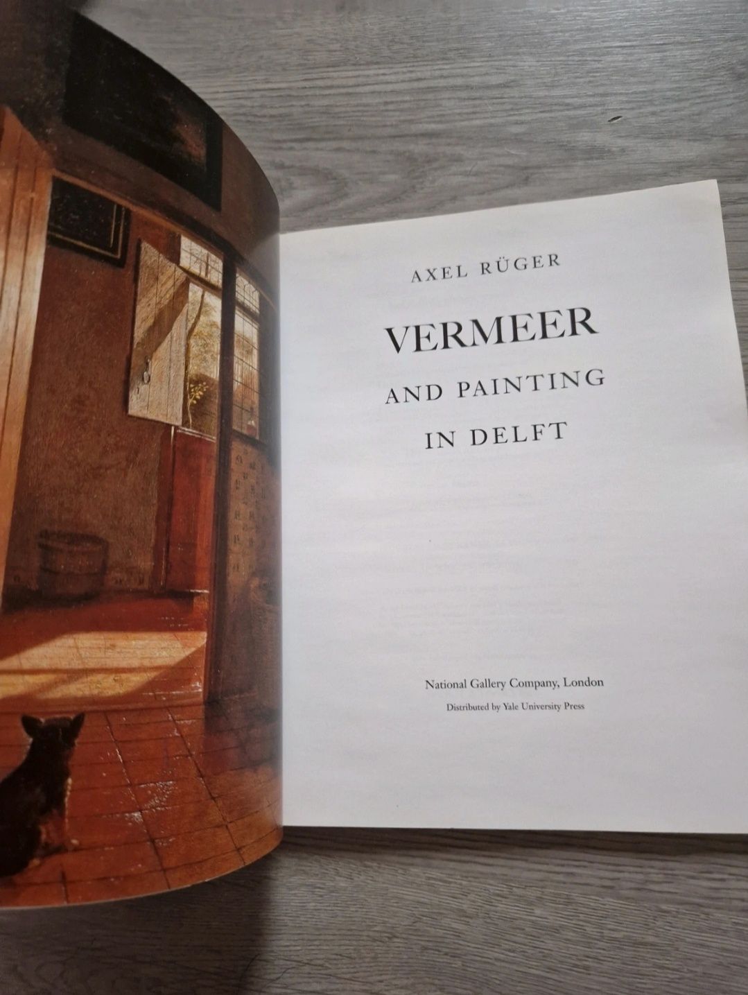 Book : "Vermeer and Painting in Delft"