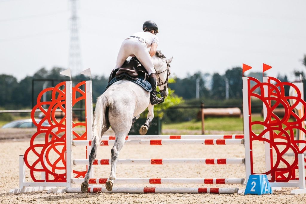 Klacz do małego sportu