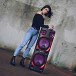 Coluna WILD SKA 2
