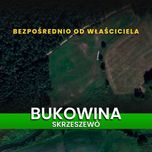 Działka Bukowina Lębork - cisza, natura - na raty, bez pośredników