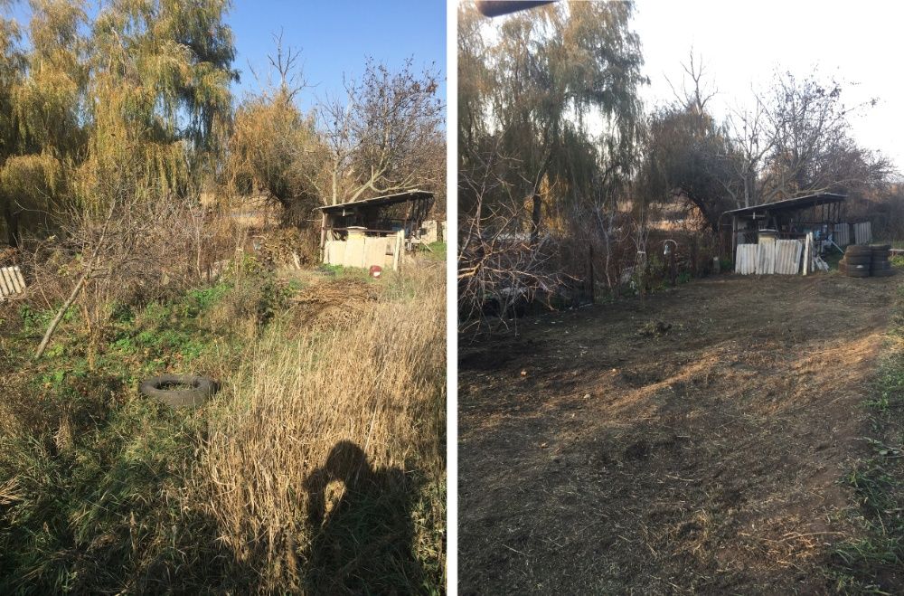 Спил деревьев Обрезка садовых(фруктовых) деревьев от 150грн шт.