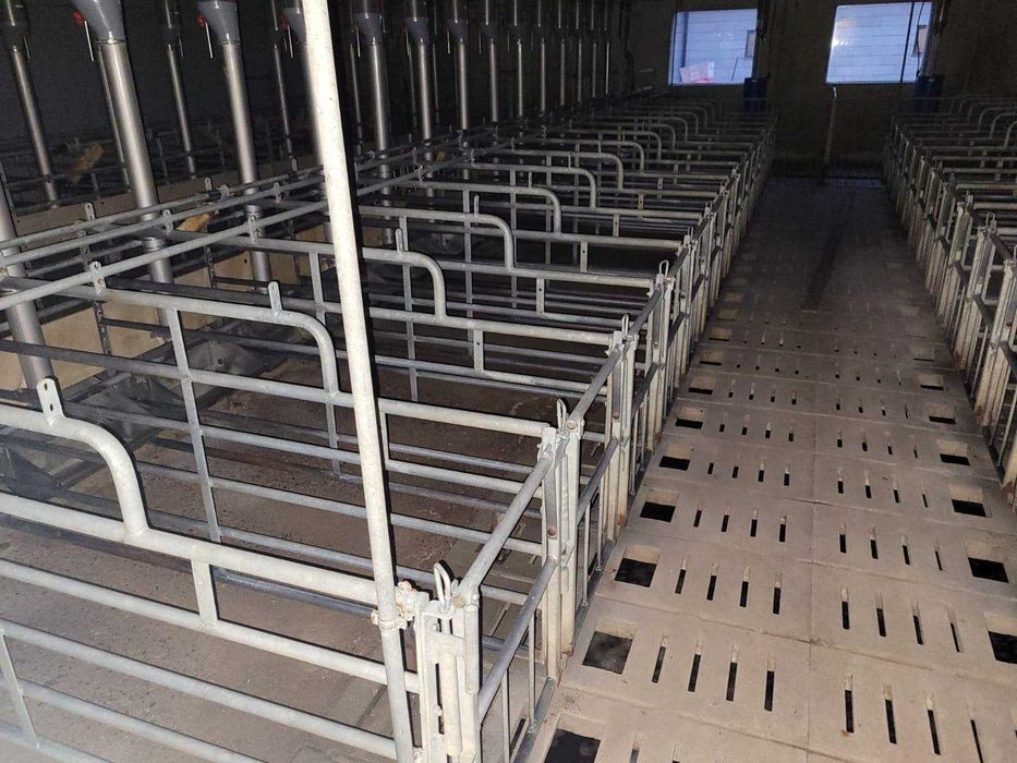 Обладнання для свинарства (одиночка)