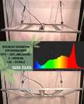 Led 250W , grow led , фито лампа , гроубокс , люстра 250w