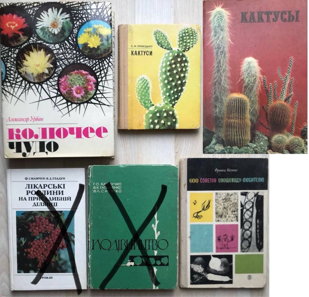 Книги для любителей дач и активного отдыха