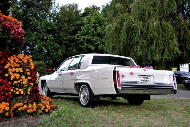 Auto do ślubu - Cadillac Deville