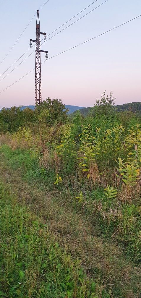 Земля під садівництво