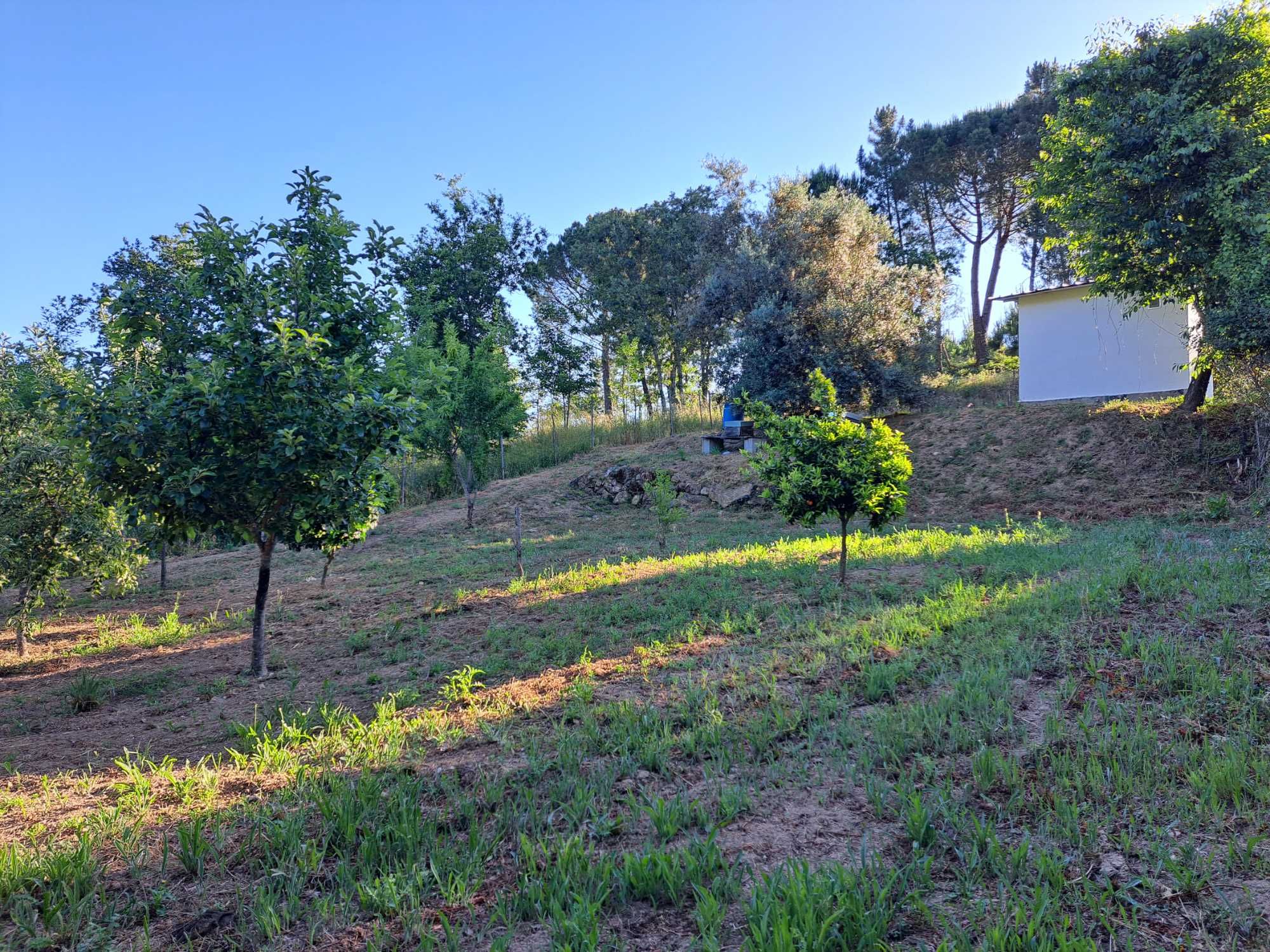 Terreno Agricola