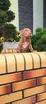 Pitbull Red Nose ostatni piesek