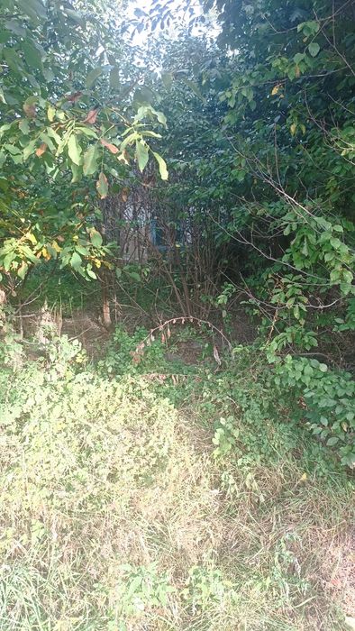 Земельна ділянка