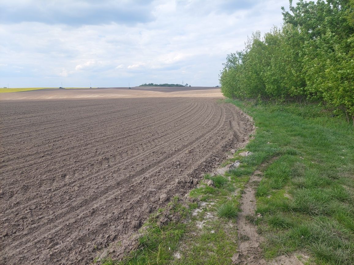 Продам рівну фасадну ділянку під комерцію 1.2 гектари