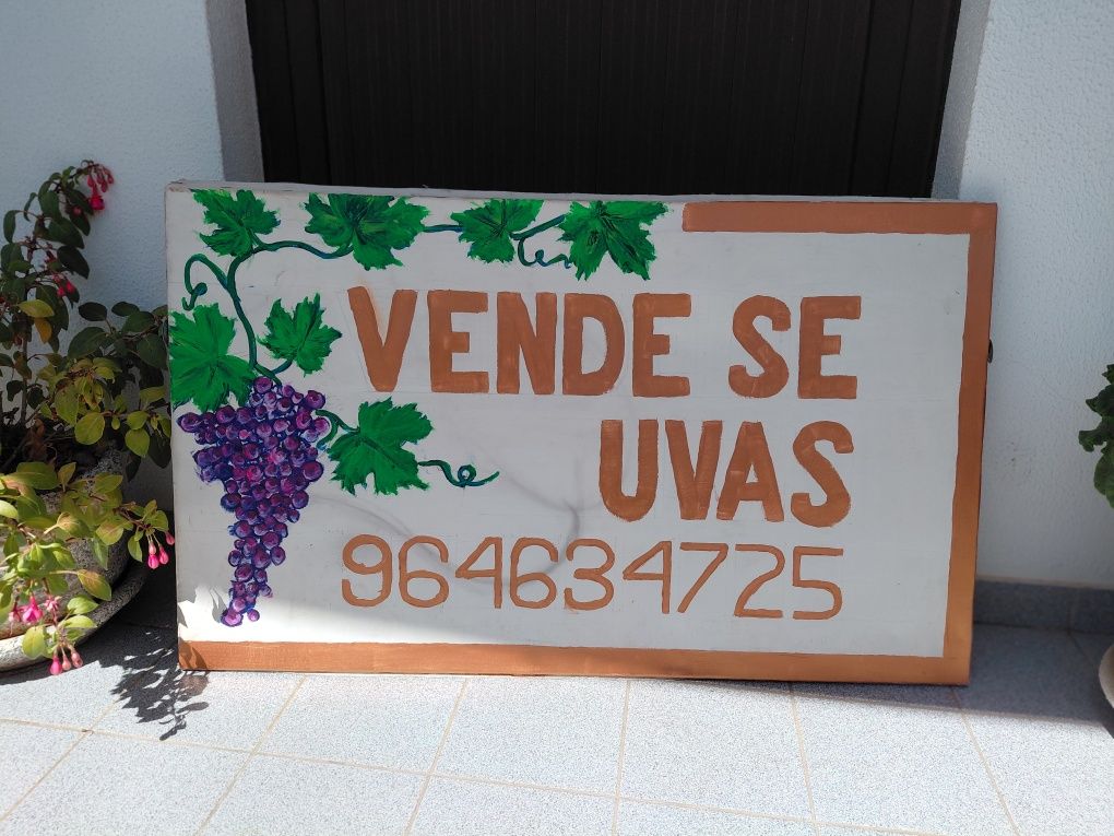 Vende-se uvas colheita própria