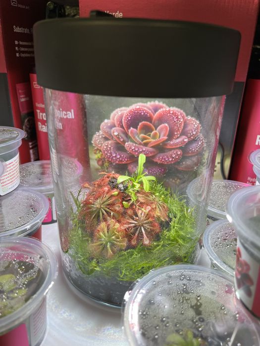 Aqua Art BivoVerde Tropical Rain 500ml MASSON