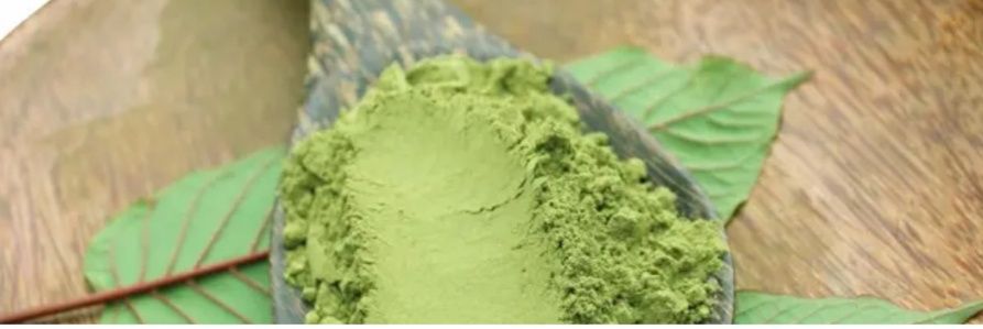 Kratom Indonesia