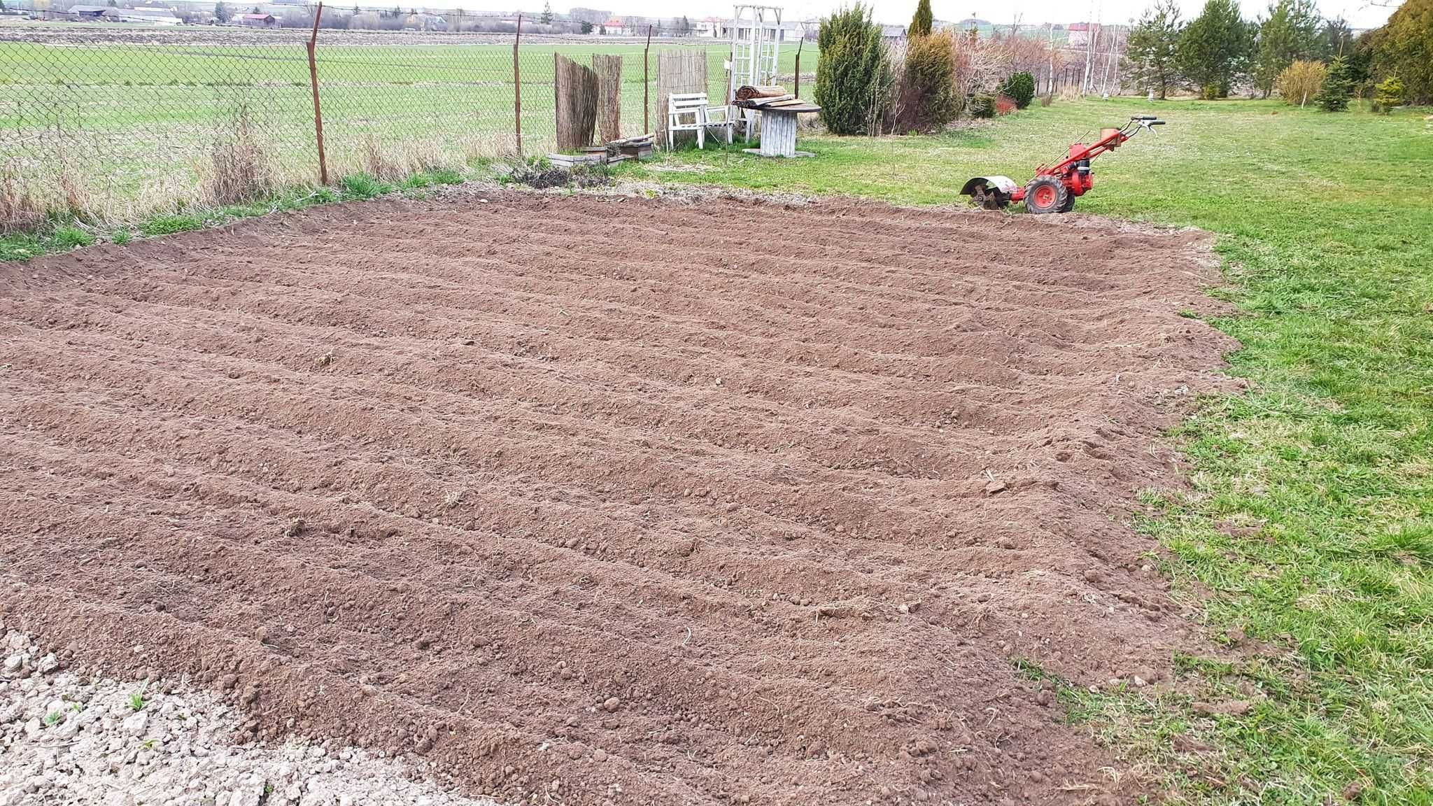 Usługi ogrodnicze, porządkowanie terenu, przycinanie drzew, koszenie