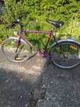 Rower Mountain Bike