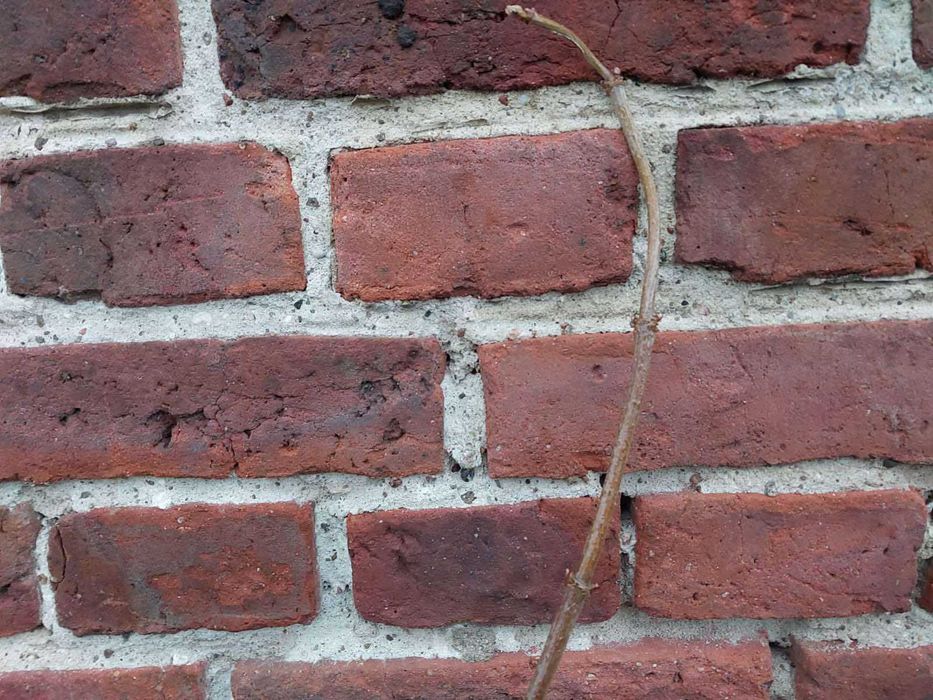 Sprzedam cegłę z odzysku