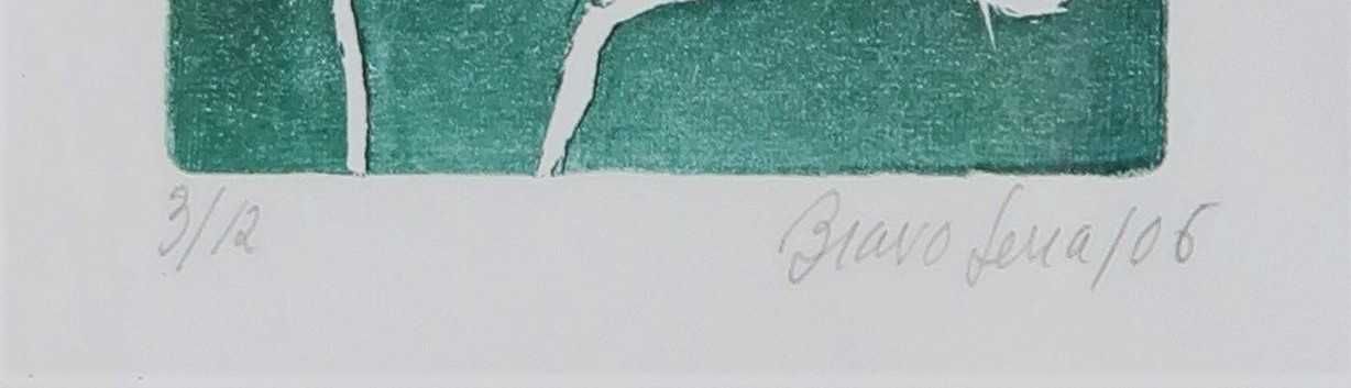 Bravo Serra Serigrafias / Agua Forte Emoldurada