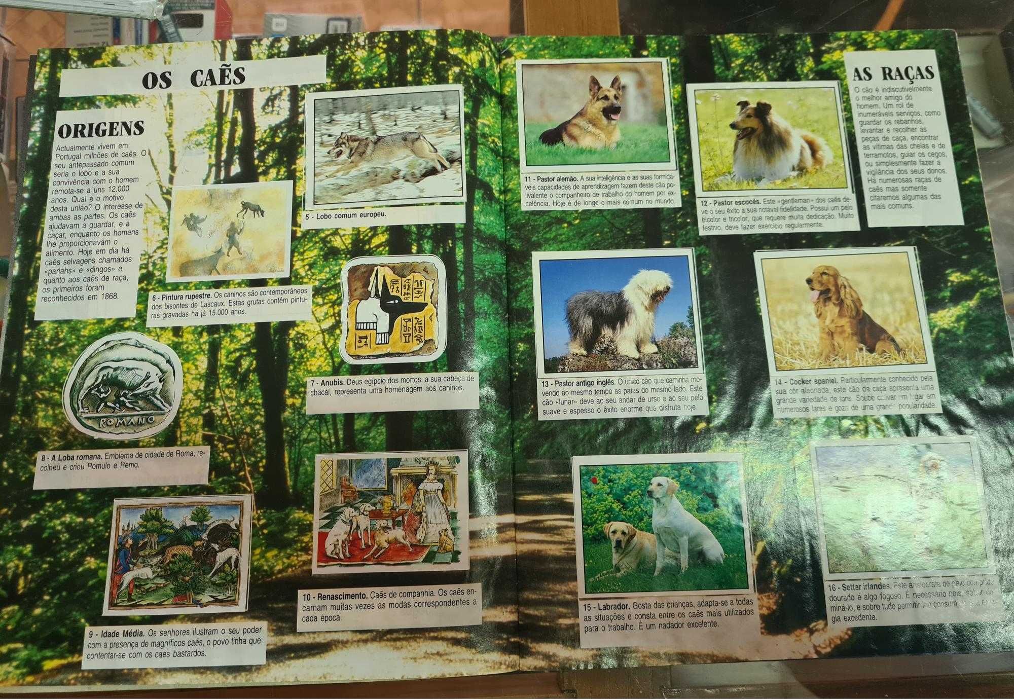 Caderneta completa de 180 cromos MEUS ANIMAIS PREFRIDOS PANINI Anos 80