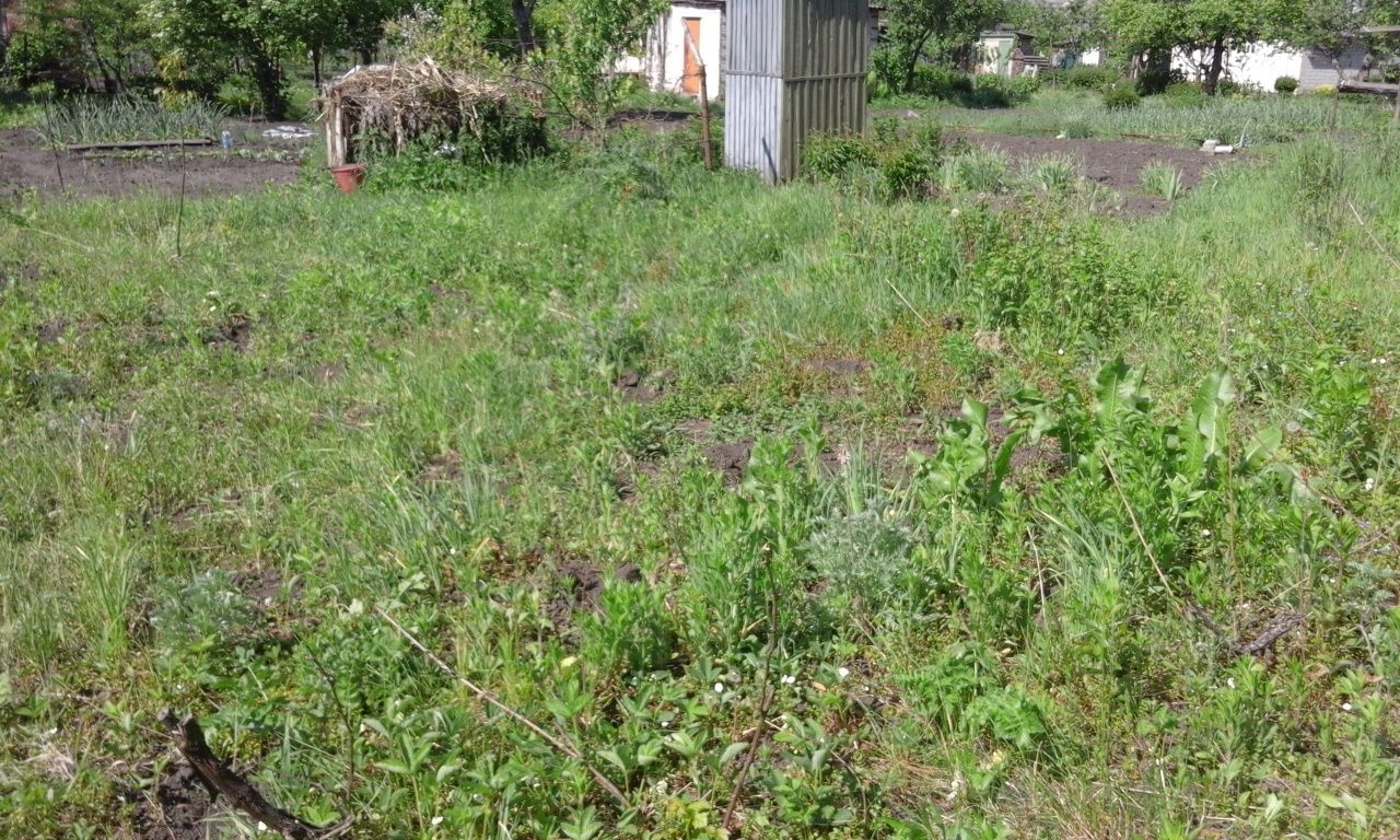 Продаж Садова дачна ділянка Дача